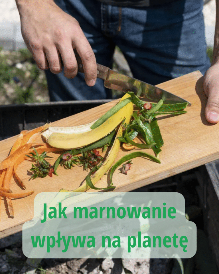 Wpływ na planetę