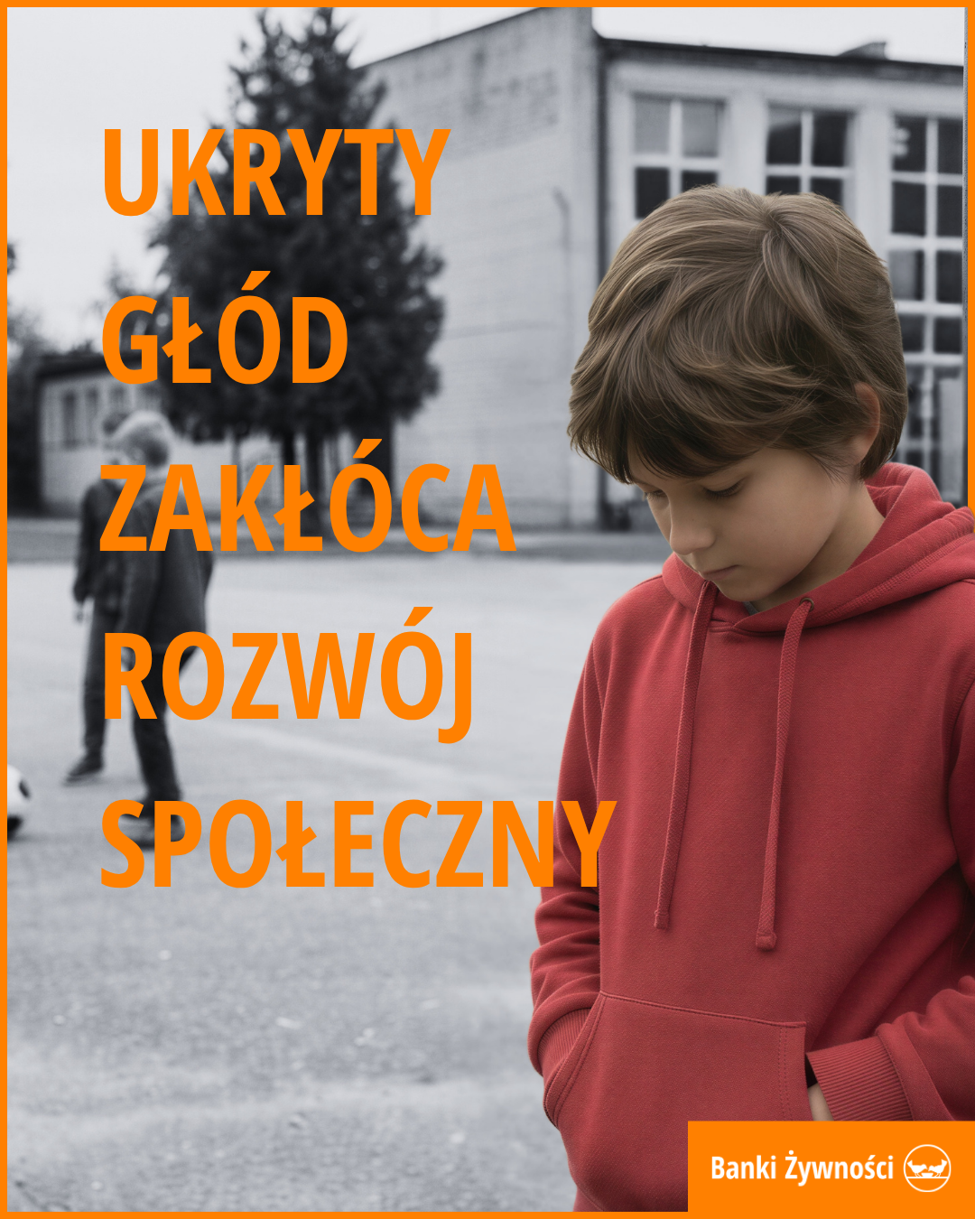 ROZDZIAŁ: „ZAKŁÓCA ROZWÓJ SPOŁECZNY” POST GŁÓWNY